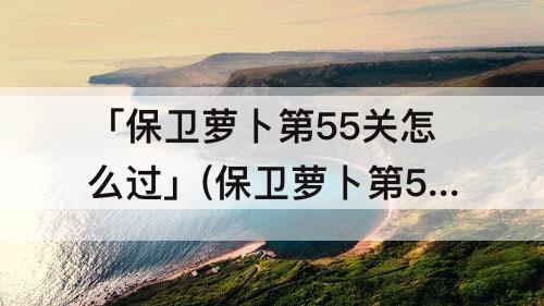 「保卫萝卜第55关怎么过」(保卫萝卜第55关怎么过视频)