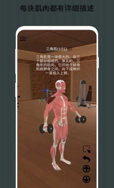 3D健身指南  v1.1图2