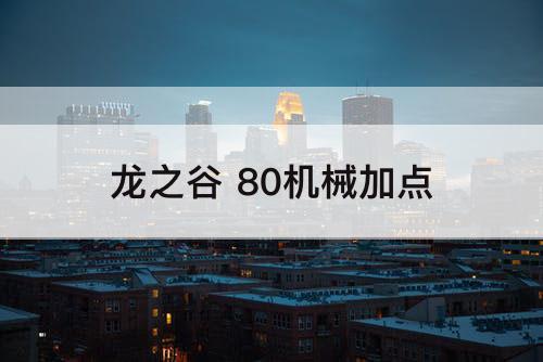 龙之谷 80机械加点