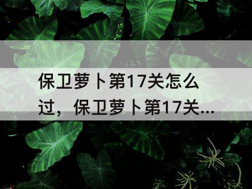 保卫萝卜第17关怎么过，保卫萝卜第17关怎么过图解法
