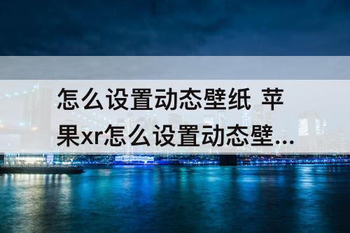 怎么设置动态壁纸 苹果xr怎么设置动态壁纸视频