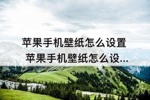 苹果手机壁纸怎么设置 苹果手机壁纸怎么设置动态壁纸