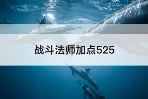 战斗法师加点525