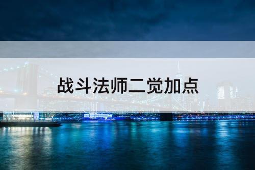 战斗法师二觉加点