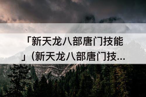 「新天龙八部唐门技能」(新天龙八部唐门技能摆放)
