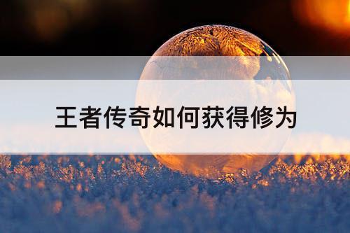 王者传奇如何获得修为