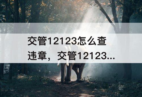 交管12123怎么查违章，交管12123怎么查违章图片看不出来