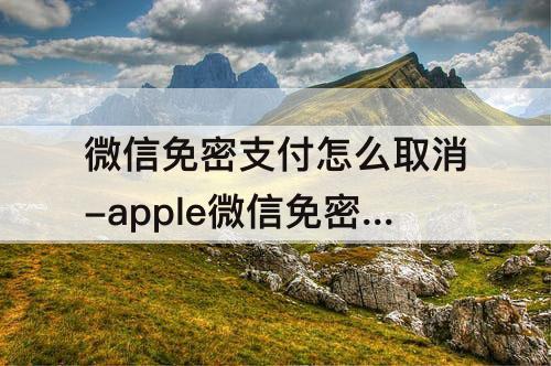 微信免密支付怎么取消-apple微信免密支付怎么取消后自动开通
