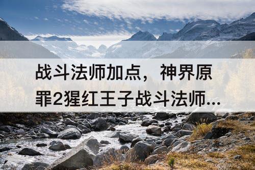 战斗法师加点，神界原罪2猩红王子战斗法师加点