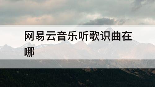 网易云音乐听歌识曲在哪