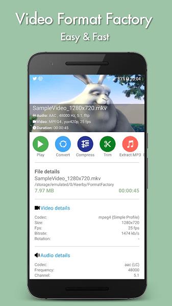 videoformatfactory中文版