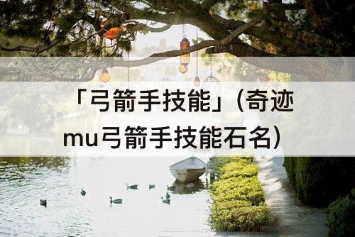 「弓箭手技能」(奇迹mu弓箭手技能石名)