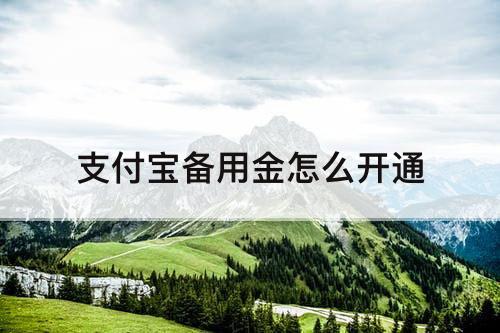 支付宝备用金怎么开通
