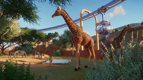 动物园之星  v1.3.0图2