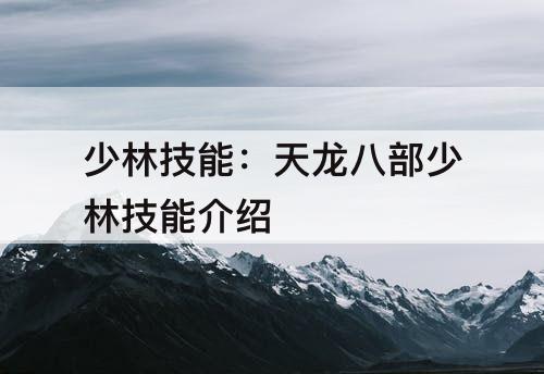 少林技能：天龙八部少林技能介绍