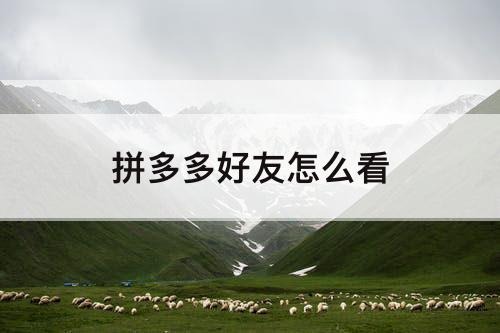 拼多多好友怎么看