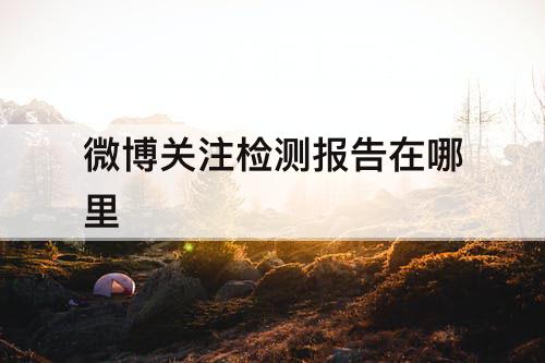 微博关注检测报告在哪里