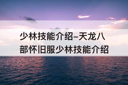 少林技能介绍-天龙八部怀旧服少林技能介绍