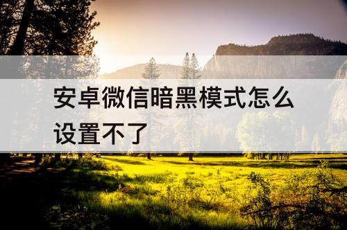 安卓微信暗黑模式怎么设置不了