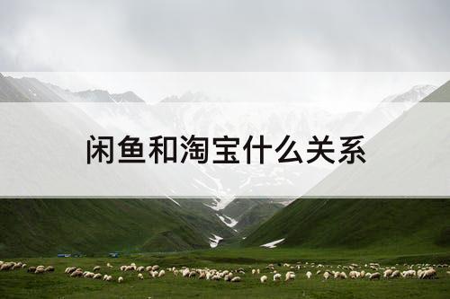 闲鱼和淘宝什么关系