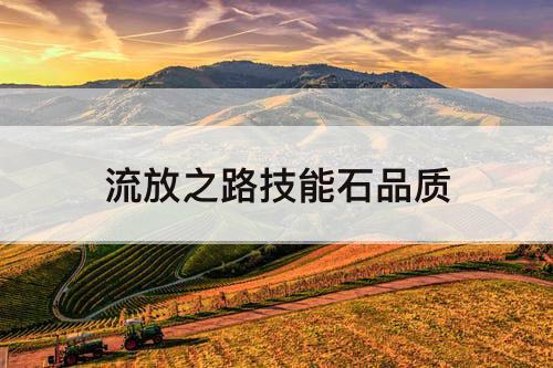 流放之路技能石品质