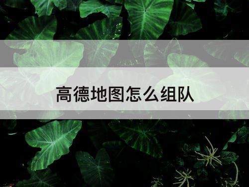 高德地图怎么组队