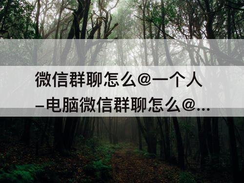 微信群聊怎么@一个人-电脑微信群聊怎么@一个人