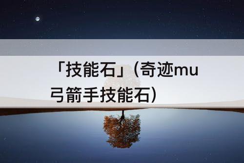 「技能石」(奇迹mu弓箭手技能石)