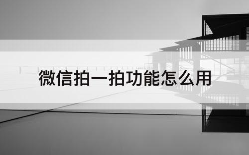 微信拍一拍功能怎么用