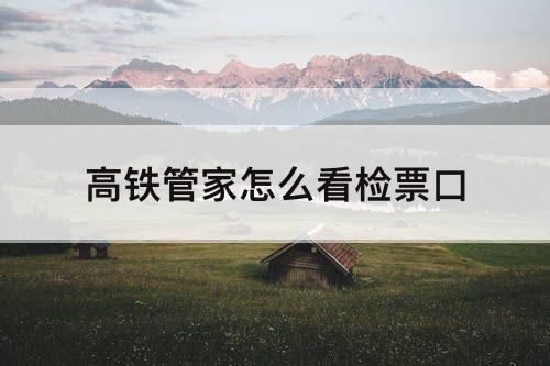 高铁管家怎么看检票口