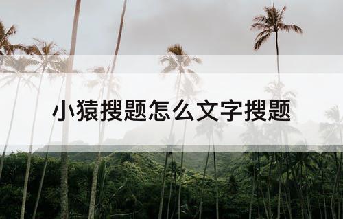 小猿搜题怎么文字搜题