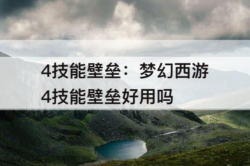 4技能壁垒：梦幻西游4技能壁垒好用吗
