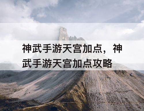 神武手游天宫加点，神武手游天宫加点攻略