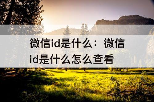 微信id是什么：微信id是什么怎么查看