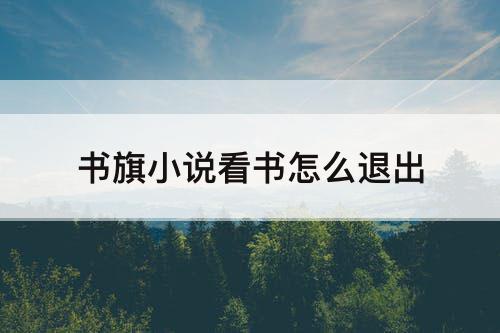 书旗小说看书怎么退出