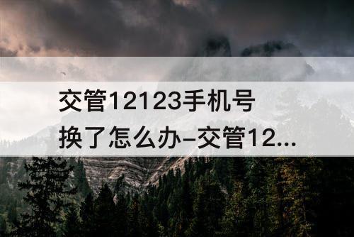 交管12123手机号换了怎么办-交管12123手机号换了怎么办?