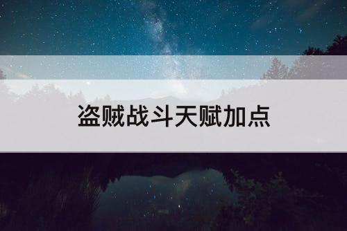 盗贼战斗天赋加点