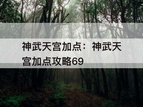 神武天宫加点：神武天宫加点攻略69