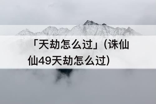 「天劫怎么过」(诛仙仙49天劫怎么过)