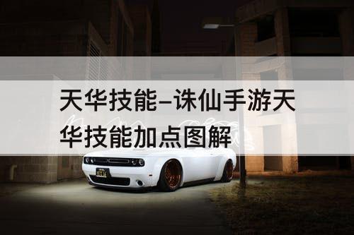 天华技能-诛仙手游天华技能加点图解
