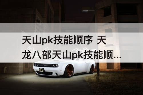 天山pk技能顺序 天龙八部天山pk技能顺序