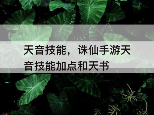 天音技能，诛仙手游天音技能加点和天书