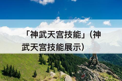 「神武天宫技能」(神武天宫技能展示)