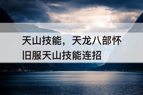 天山技能，天龙八部怀旧服天山技能连招