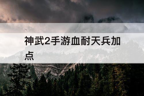神武2手游血耐天兵加点