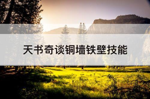 天书奇谈铜墙铁壁技能