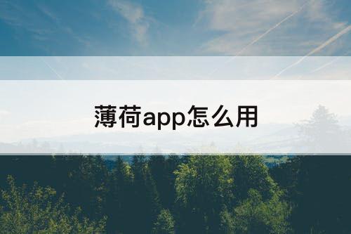 薄荷app怎么用