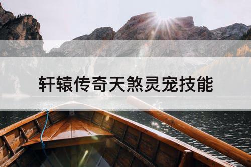 轩辕传奇天煞灵宠技能