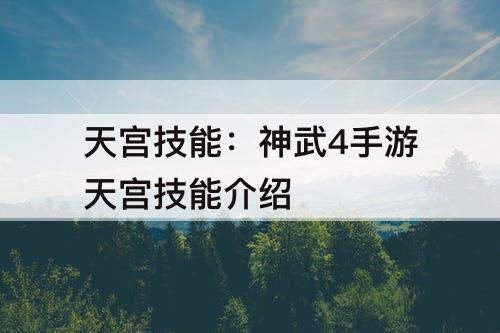 天宫技能：神武4手游天宫技能介绍