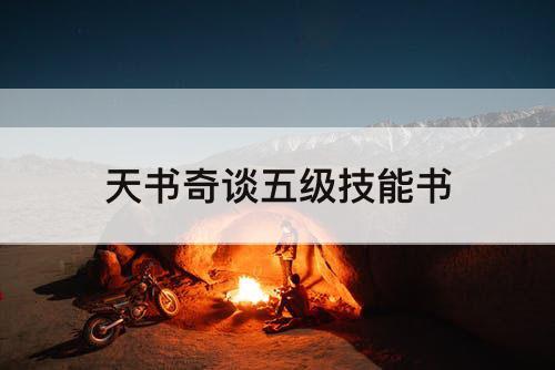 天书奇谈五级技能书